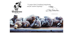 See More of this Site Website Portfolio Piece